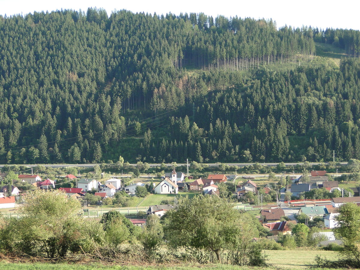 DSC07517.jpg