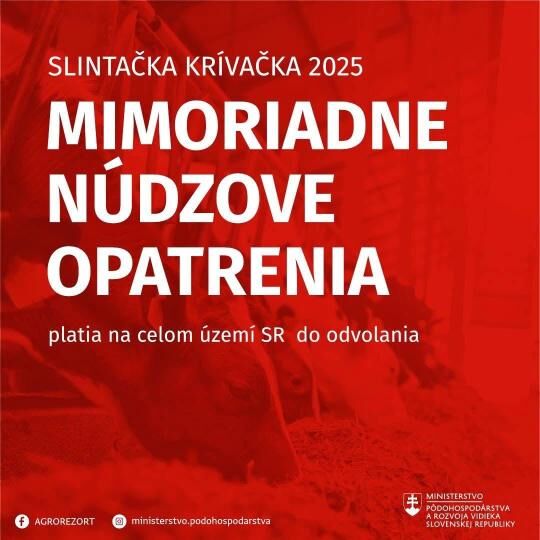 slintačka.jpg