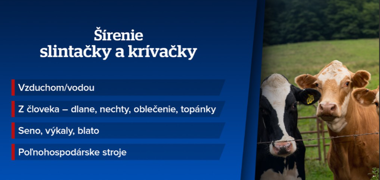 slintačka.png